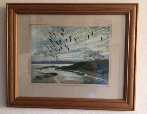Peter scott the wildfowl - peter,