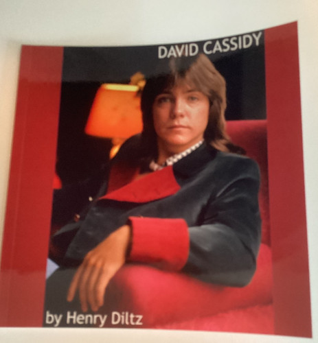 David cassidy the - the, partridge