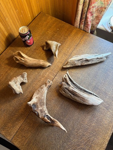 Driftwood pieces best - driftwood, 6