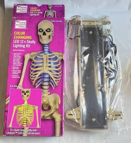 Skeleton led home - skeleton,