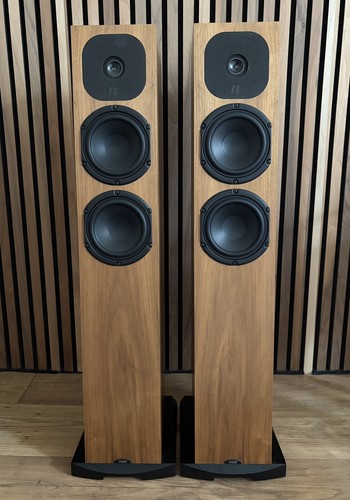 Neat motive sx1 walnut - neat,