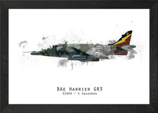 RAF Harrier GR3 RAF100 Framed