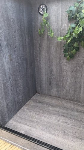 Chameleon vivarium setup - chameleon,