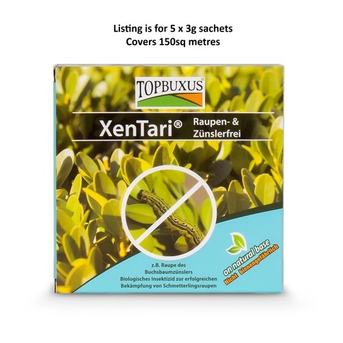Topbuxus xentari box hedge - box,