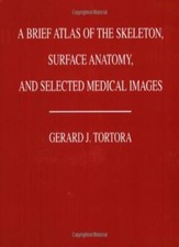 A Brief Atlas of the Human Skeleton, Surface Anatomy and Selected Medical Image