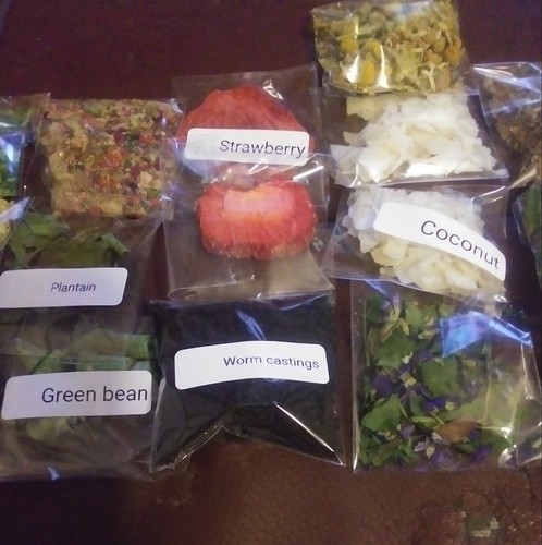 Land hermit crab food treat - hermit,