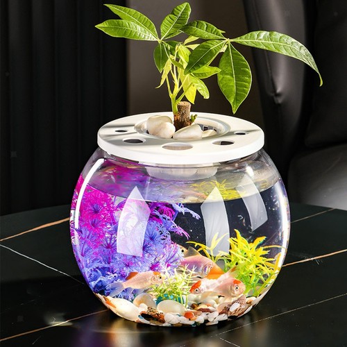 Fish bowl versatile - bowl,