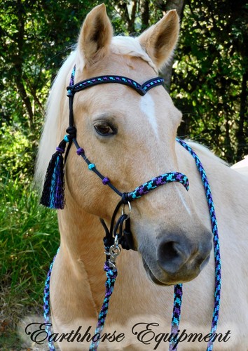 Earthhorse equipment bitless - equipment,,