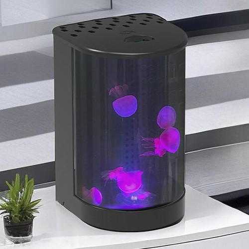 Jellyfish fish tank not - jellyfish,