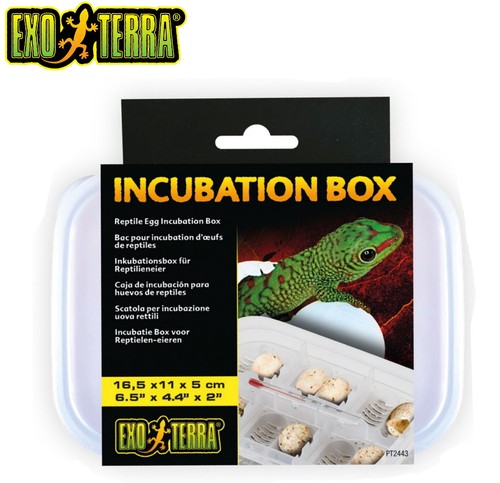 Exo terra incubation box - ,