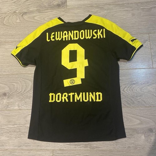 Borussia dortmund 2013 - borussia, 2013/14