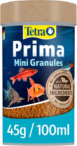 Tetra prima fish - tetra, mini