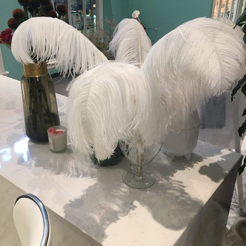 Pcs ostrich feathers 16 - pcs, 14-16