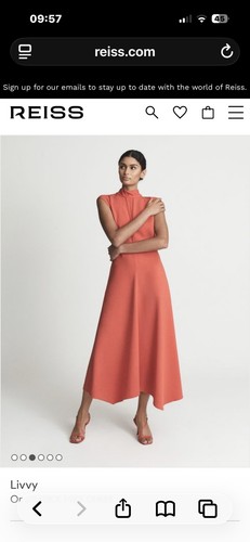 Bnwt reiss livvy dress - bnwt,