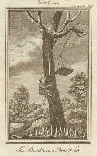 The baschkirian bear trap - bear,