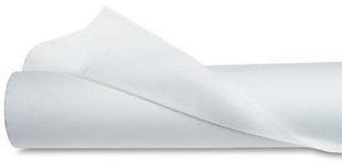 C300 detail paper roll - c300,