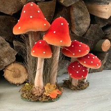 Autumn Red Toadstool