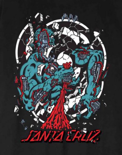 Santa cruz roskopp dissect - santa,