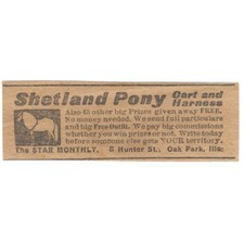 Shetland Pony Cart and Harness Star Monthly Oak Park IL 1906 Original Ad AB6-S10