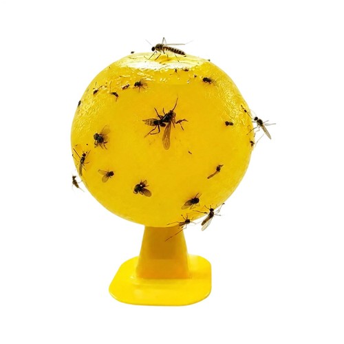 Fruit fly balls - fruit,