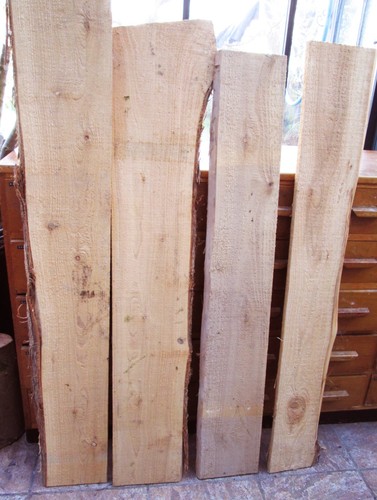 120cm western red cedar live - western,