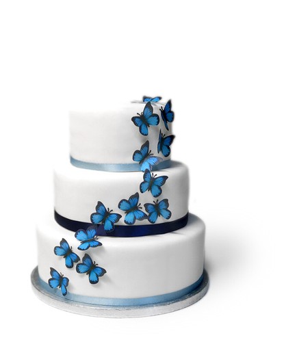 Cake toppers black and blue - cake,