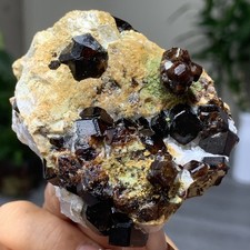 300G Natural Garnet with rock Gorgeous rough raw Crystal Mineral Specimen