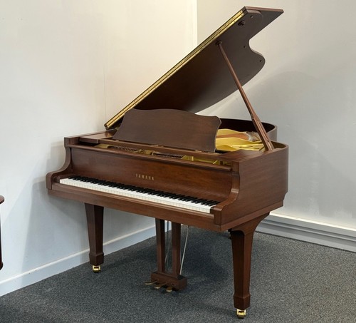 Yamaha japanese baby - japanese,