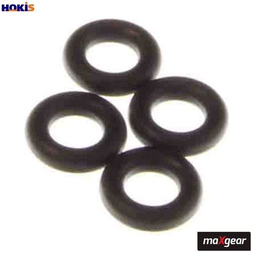 Seal ring injector 0173 - ring, 70-0173