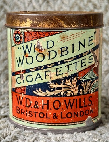 Wild woodbine antique - wild,