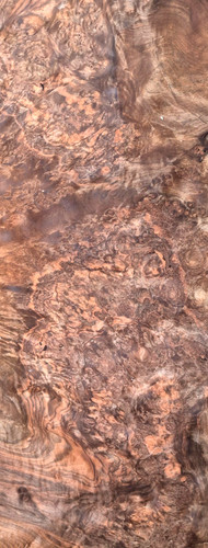 Burr burl walnut - burr/burl, veneer