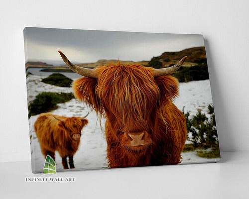 Highland cows brown canvas - cows,