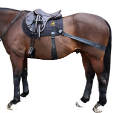 Equine Band System Pro (Jump) Core Conditioning Training Aid by Equine Balance