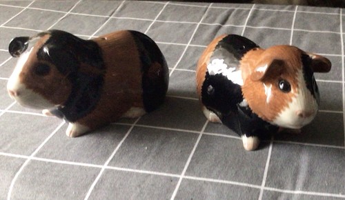 Quail guinea pig salt pepper - guinea,