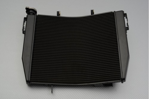 Oem type water - type, radiator