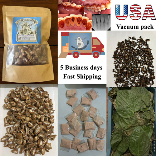 Young dried betel - dried, nut