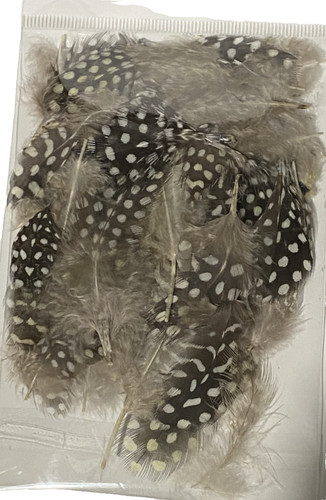 Guinea fowl feathers natural - feathers,