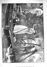 Original Old Antique Print