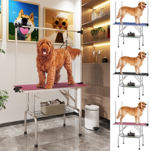 Dog grooming table - dog,