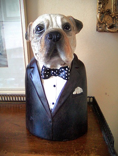 Large quirky english winston - quirky,