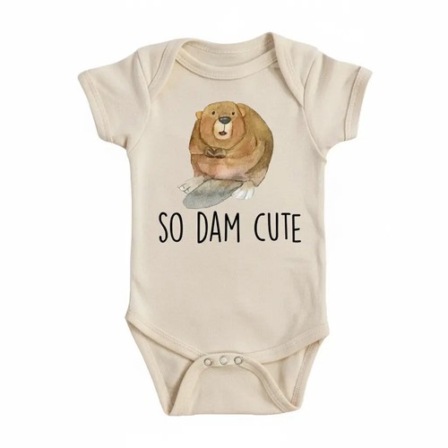 Beaver dam newborn - dam,