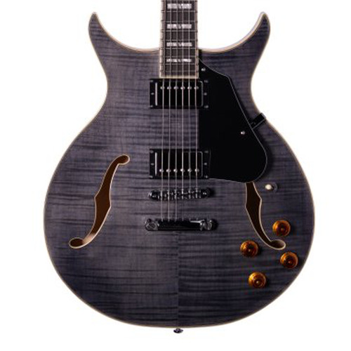 Washburn sh35 wing semi - wing, semi-hollow