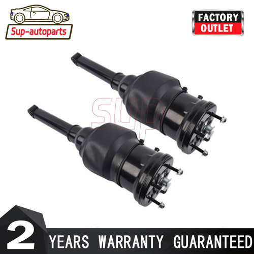 Front air suspension struts - front,