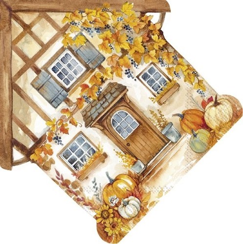 Paper napkins house - x, napkins/house