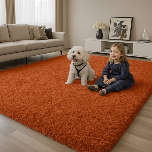 Fluffy rugs large - shaggy, rug
