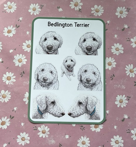 Bedlington terrier sticker - bedlington,