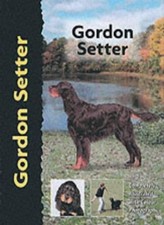 Gordon Setter (Pet Love Dog
