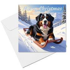 Bernese Mountain Dog on Sled Christmas Card  (15cm x 15cm) With Envelope