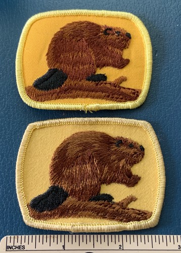 Different boy scouts canada - 2,