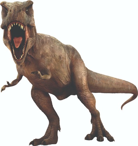 Dinosaur wall stickers - wall, (a4-a1)
